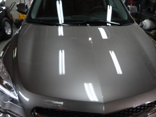 DSC03236.jpg