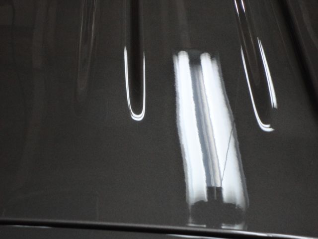 DSC03270.jpg