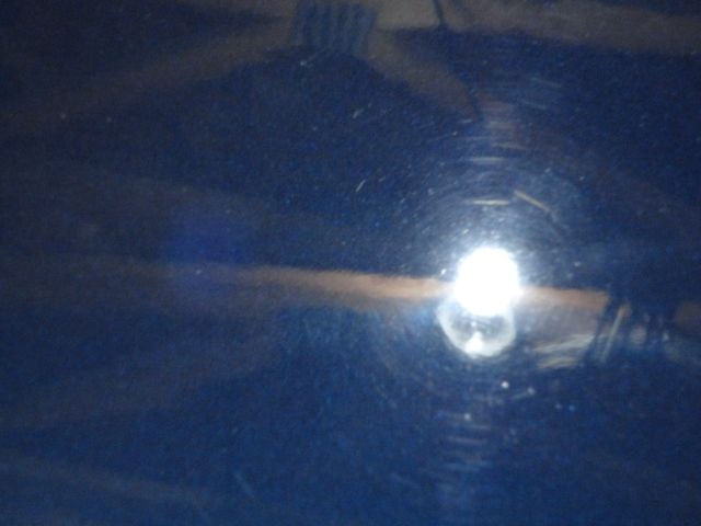 DSC02600.jpg