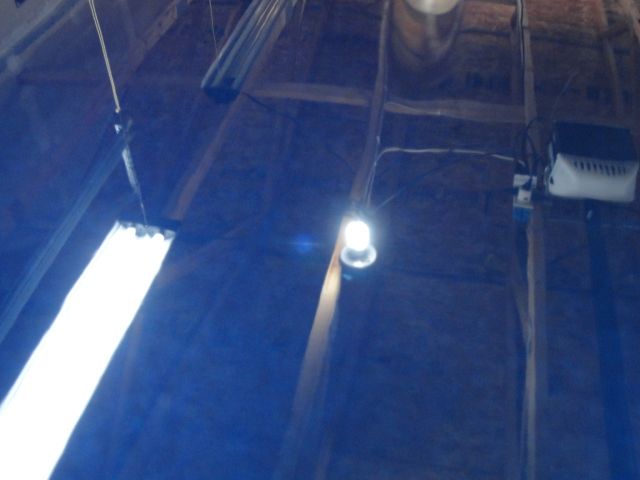 DSC02604.jpg