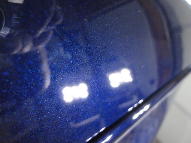 DSC02610.jpg