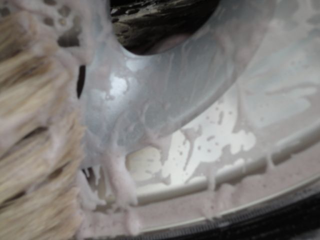 DSC02930.jpg