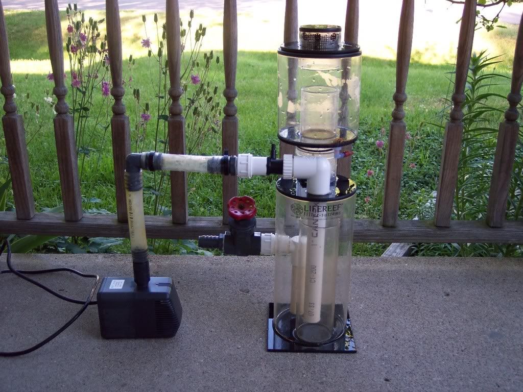 forsaleItems008 - Protein skimmer and sump