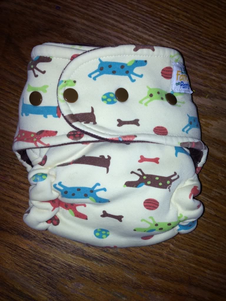 Little Fancy Pants Size 1 Hyrbid Fitted Little Fancy Pants Size 1 Hyrbid Fitted