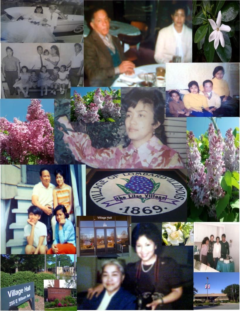 My Mother &amp; Lilacs GCH, My Mother became fond of lilacs in 1971 while my family lived with Mrs. Marie Palmer, our landlady at 2930 North Albany, in Chicago, Illinois  60618 USA.  Then she moved to Lilac Town, the Village of Lombard when my brother purchased a Lombard home in 1992.
