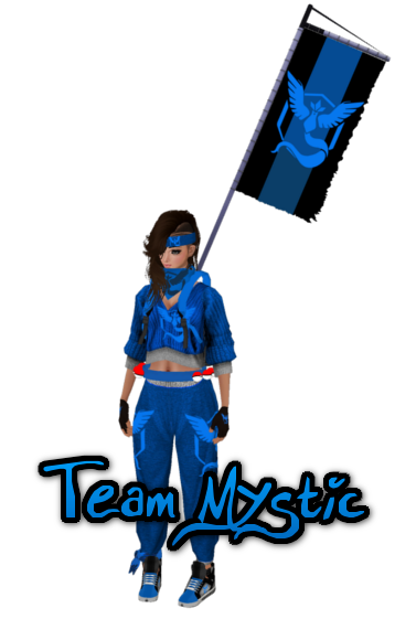 team mystic banner