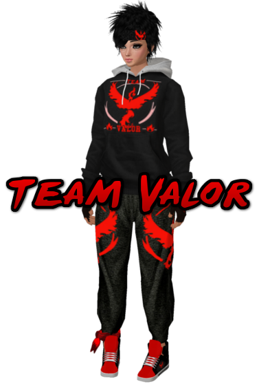 team valor hoodie
