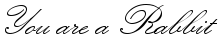photo arabbit.png