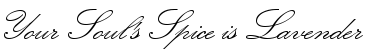 photo islavender.png