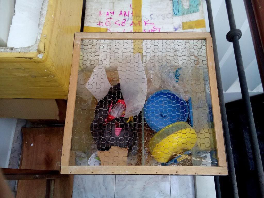 HCM Dọn nhà cần chia sẻ với anh em - 2