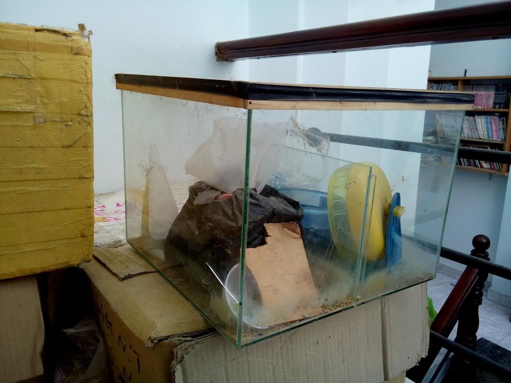 HCM Dọn nhà cần chia sẻ với anh em - 1