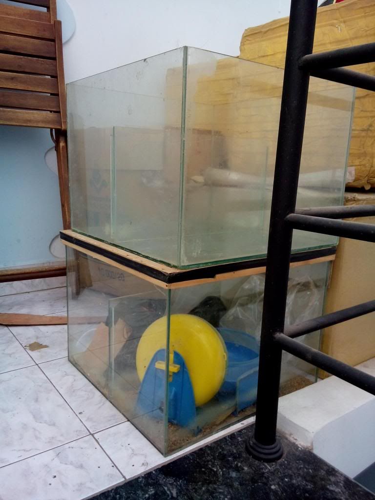 HCM Dọn nhà cần chia sẻ với anh em