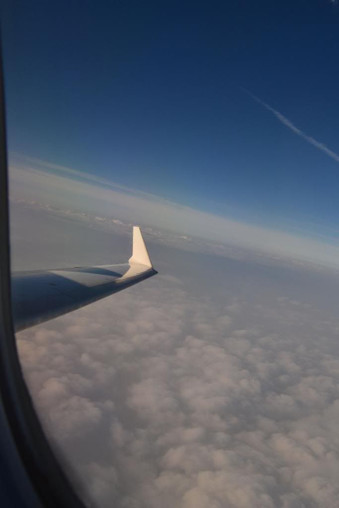 DSC_0037.jpg