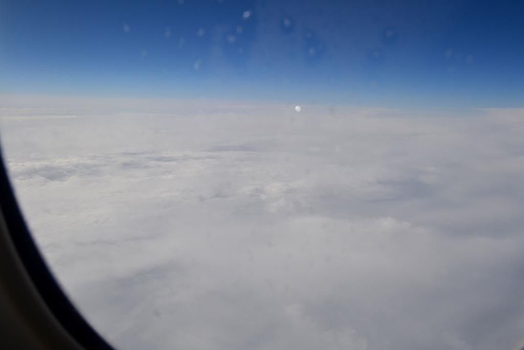 DSC_0107.jpg
