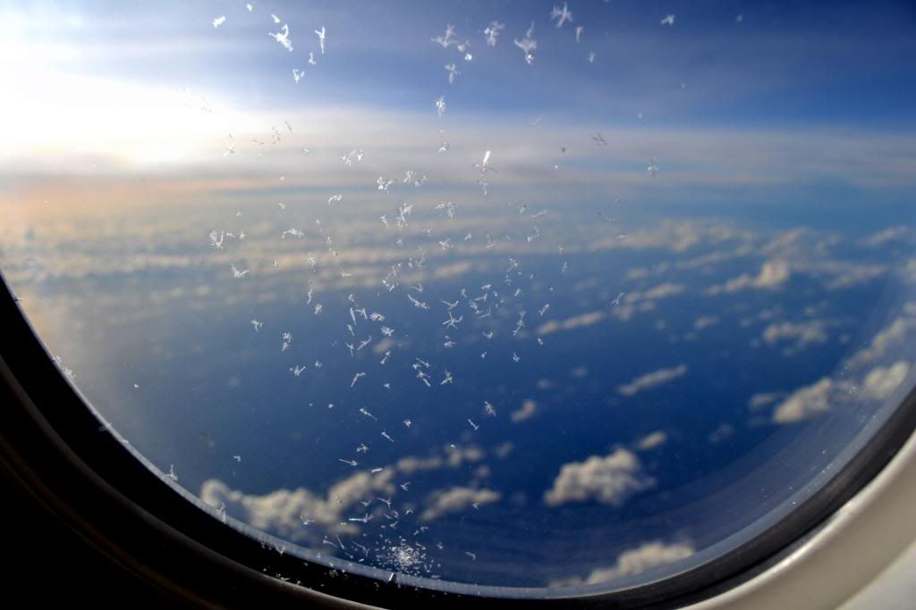 DSC_0120.jpg