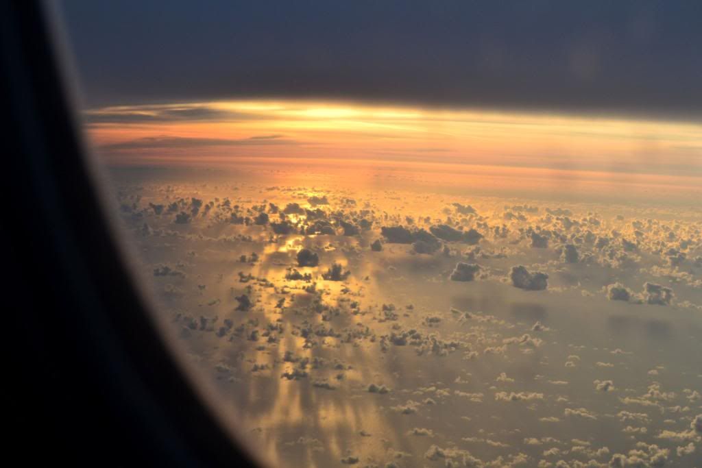 DSC_0130.jpg
