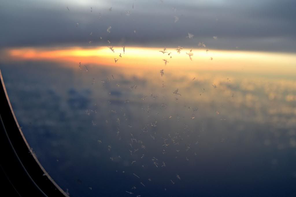 DSC_0133.jpg