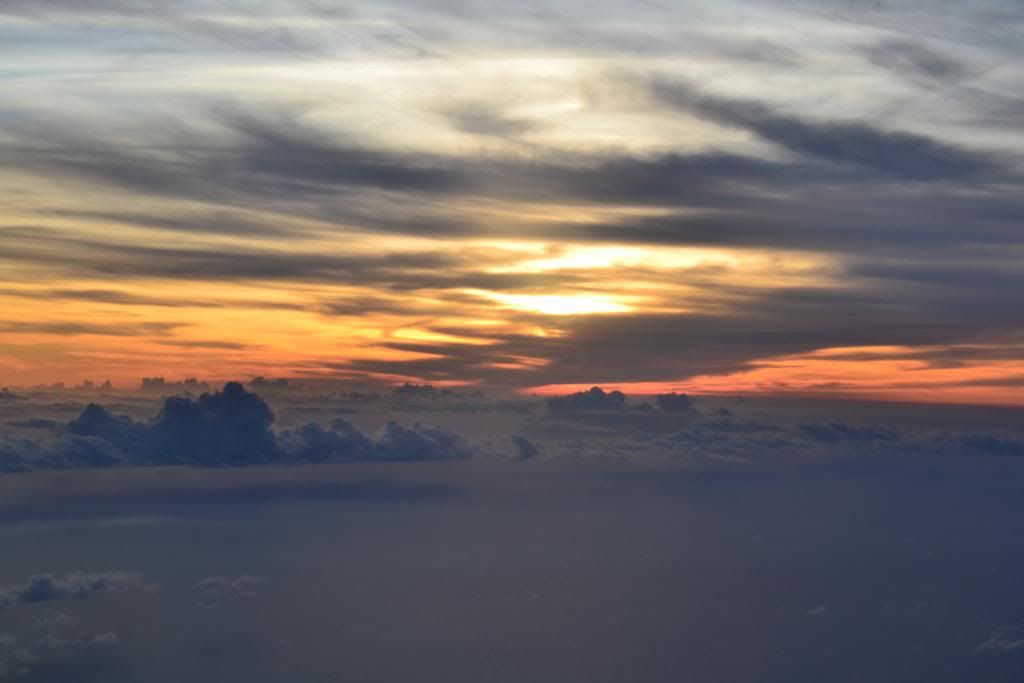 DSC_0136.jpg