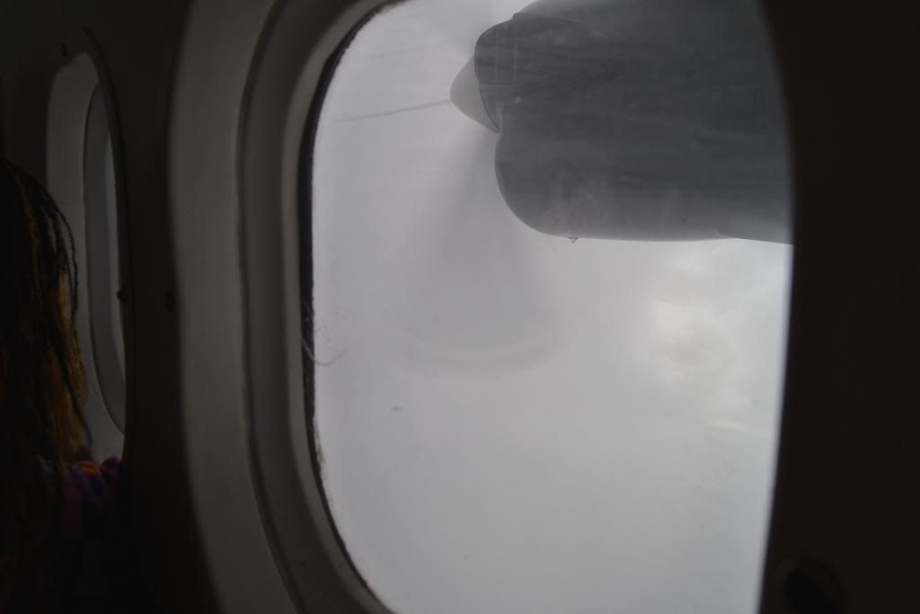 DSC_0172.jpg