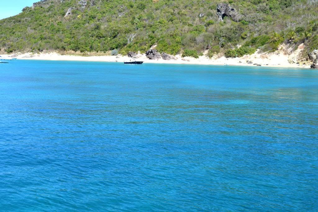 DSC_0214.jpg