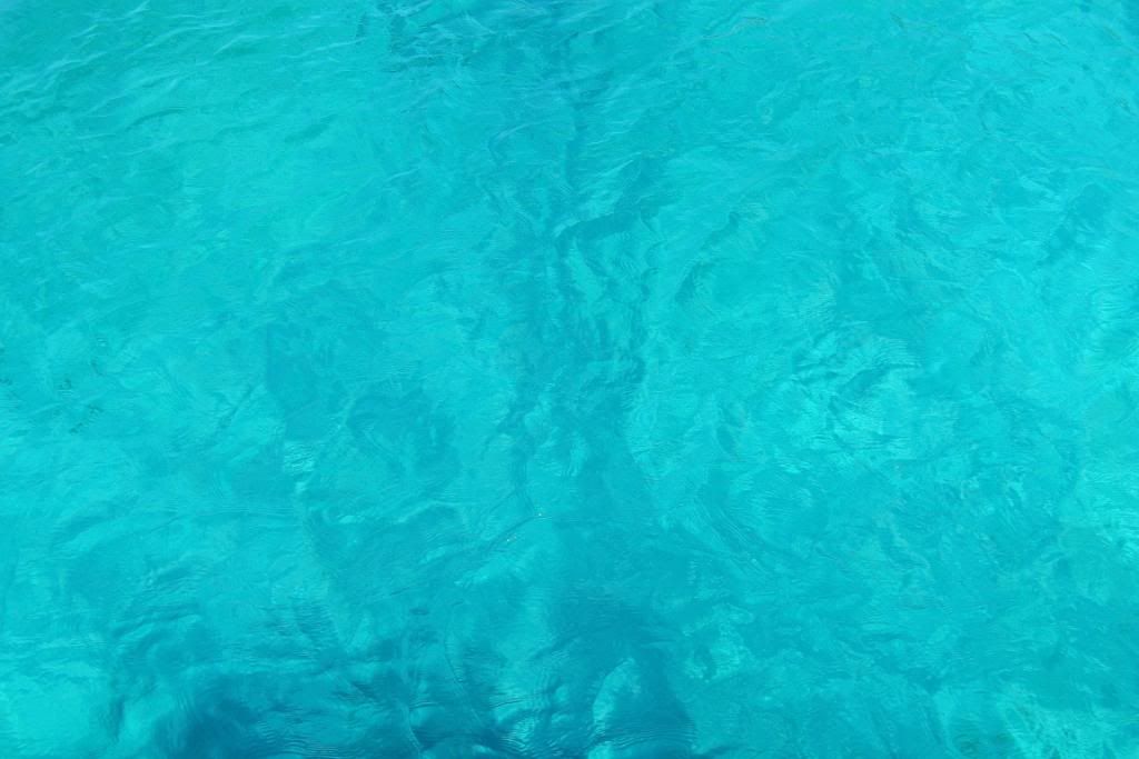 DSC_0215.jpg