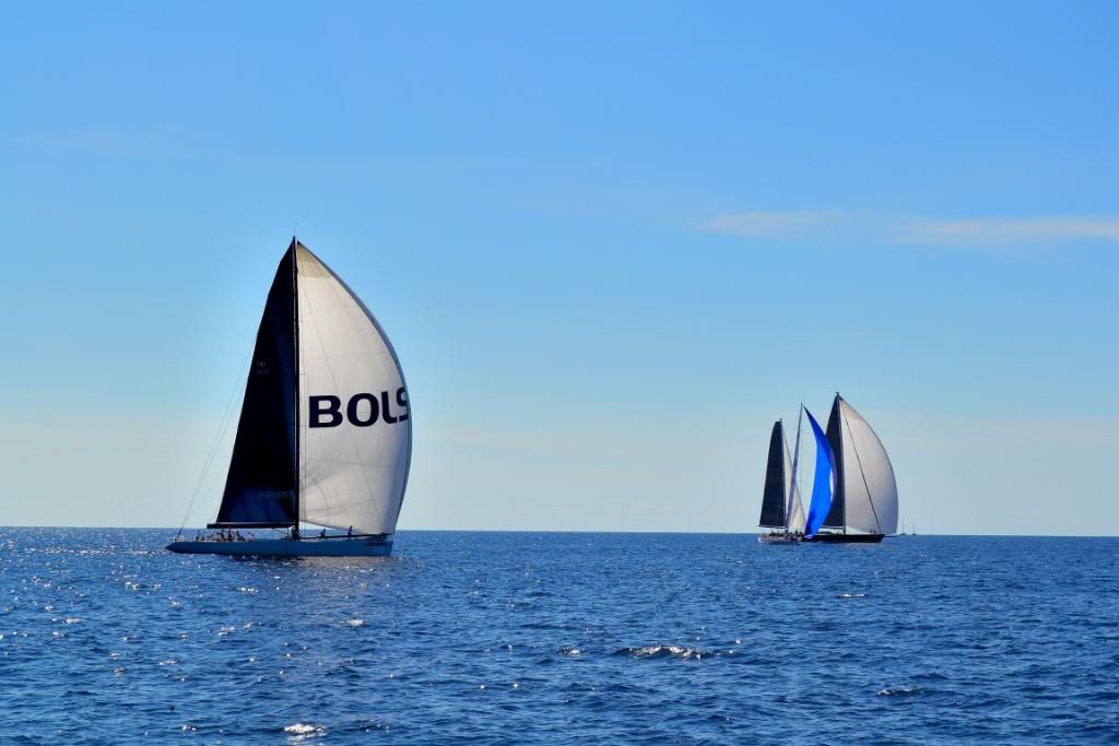 DSC_0239.jpg