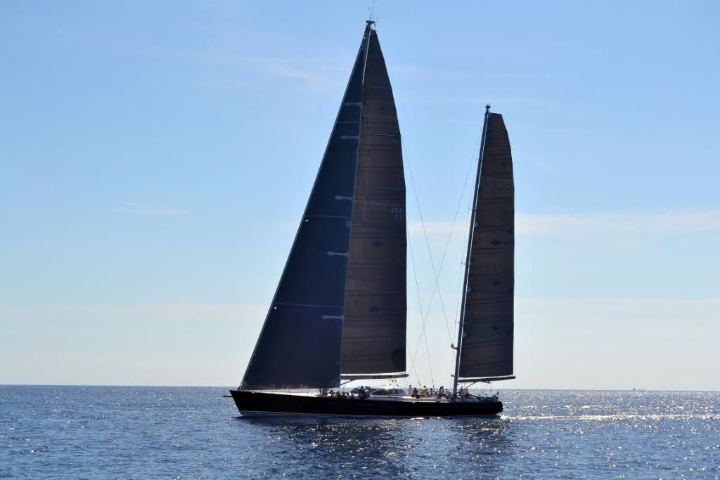 DSC_0271.jpg