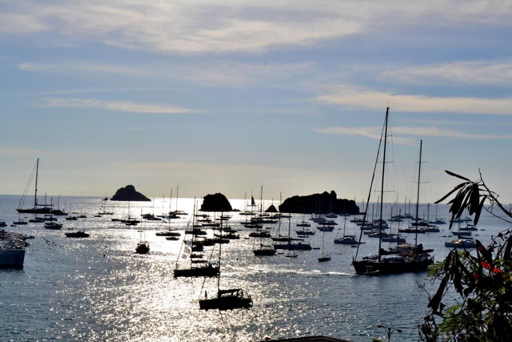 DSC_0306.jpg