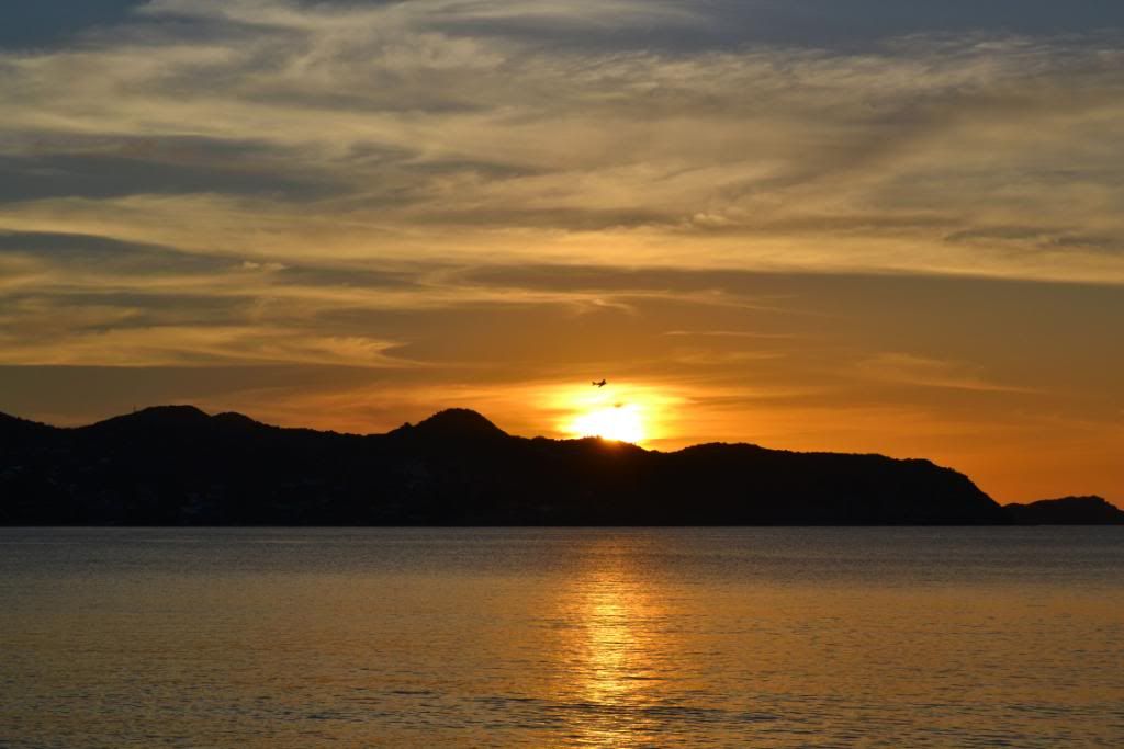 DSC_0325.jpg
