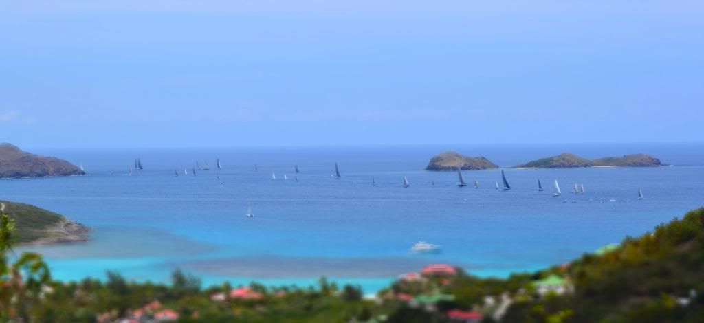 DSC_0355.jpg