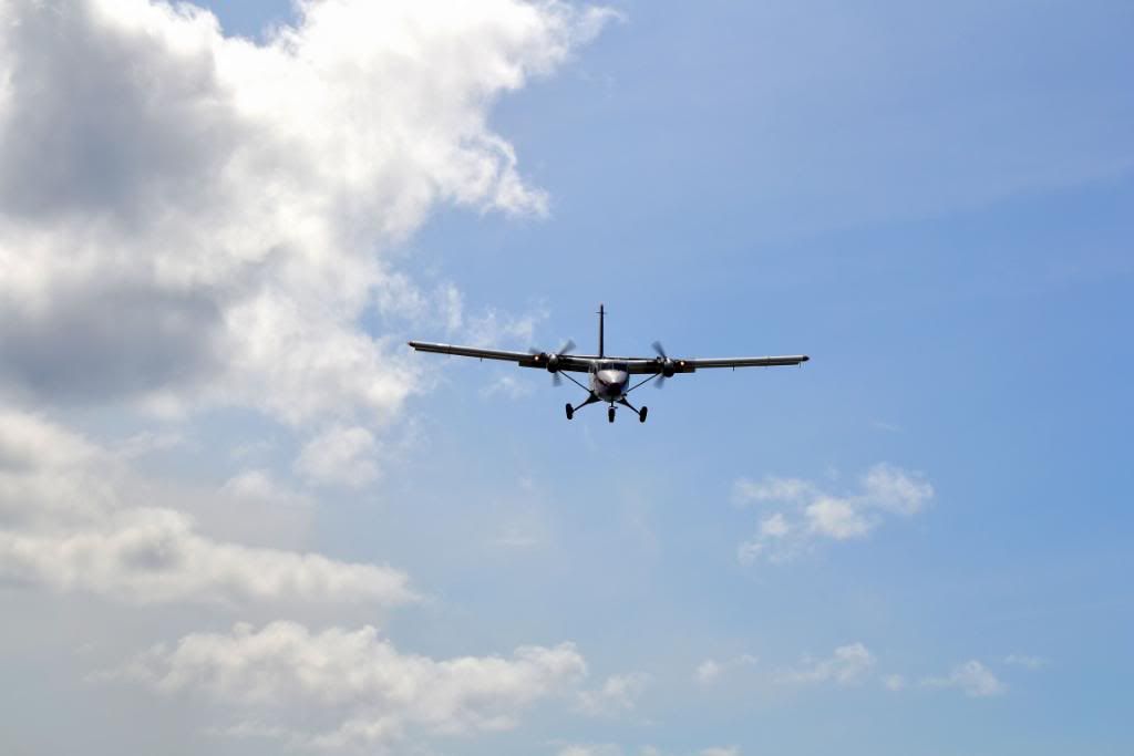 DSC_0376-1.jpg