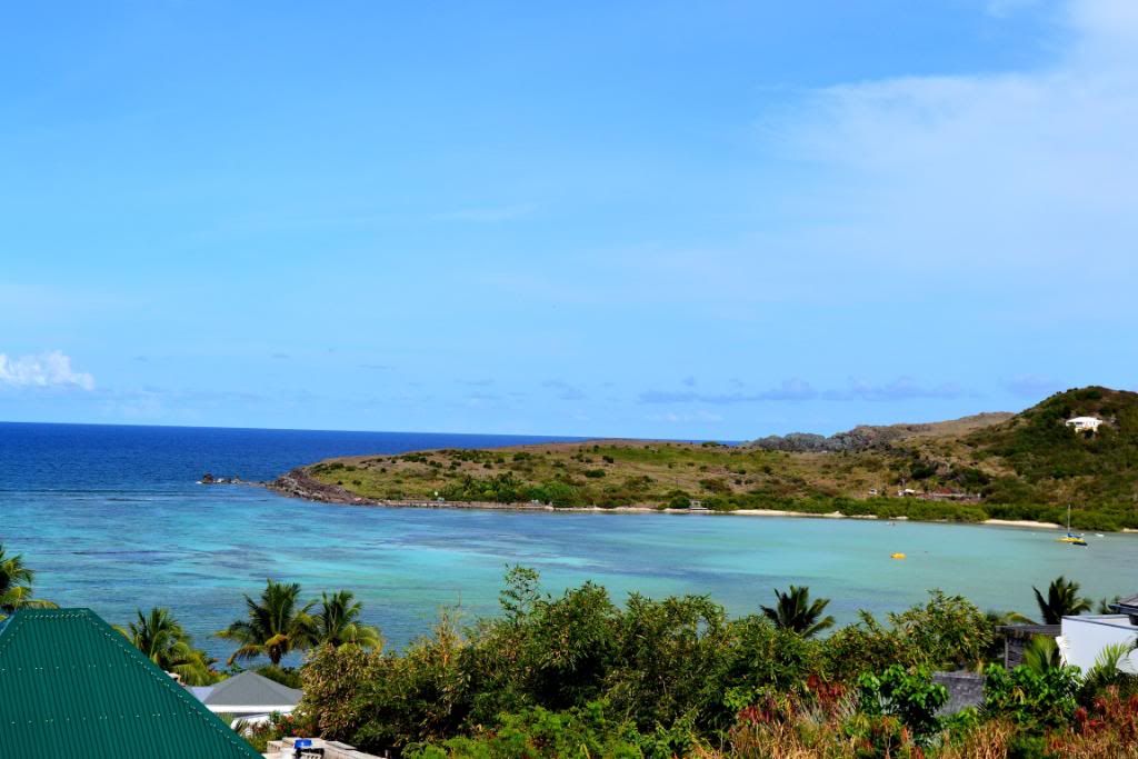 DSC_0406.jpg