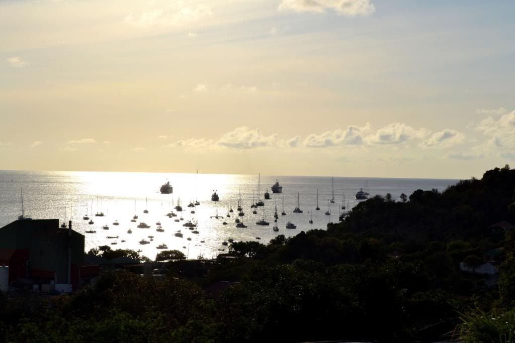 DSC_0439.jpg