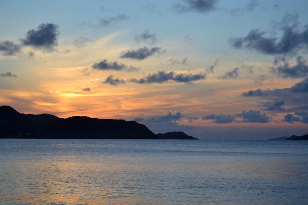 DSC_0457.jpg