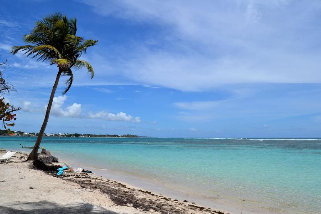 DSC_0655.jpg