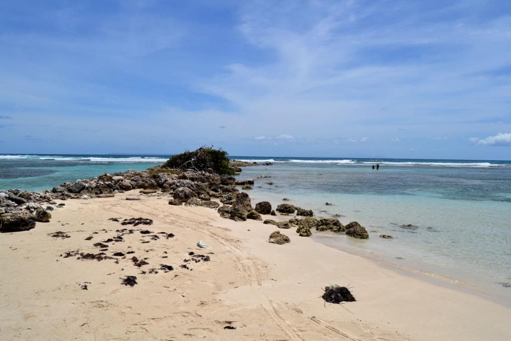 DSC_0660.jpg