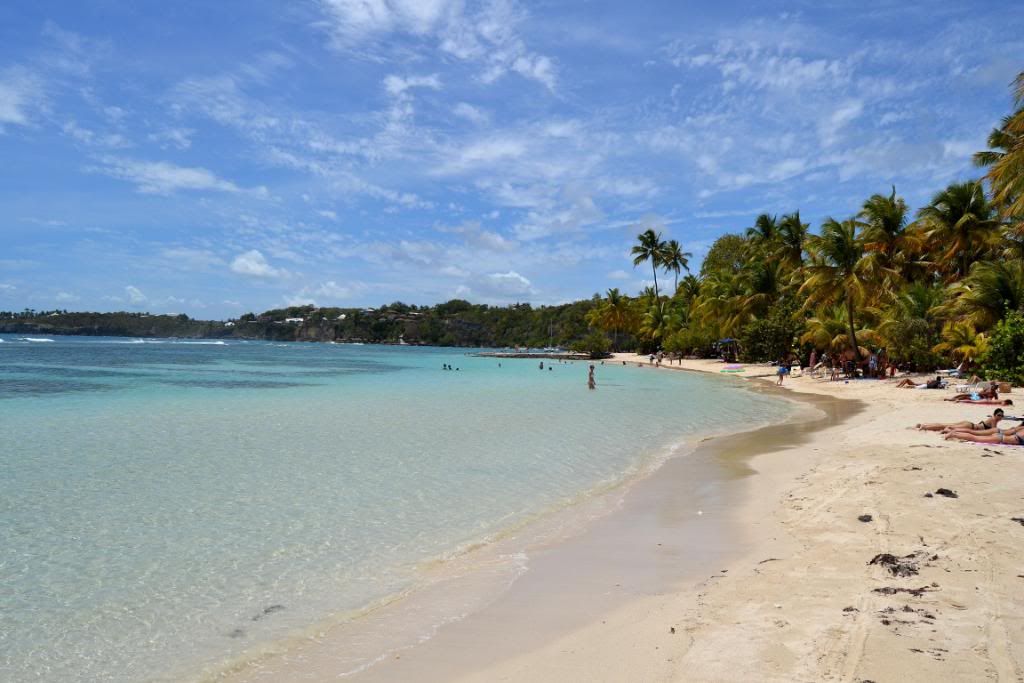 DSC_0661.jpg