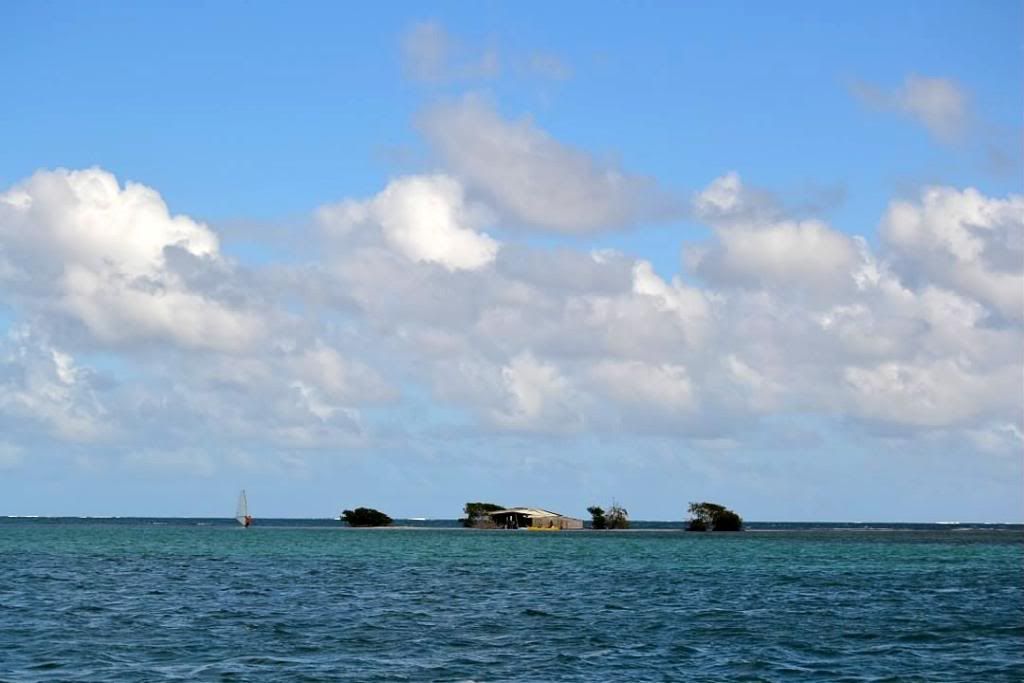 DSC_0665.jpg
