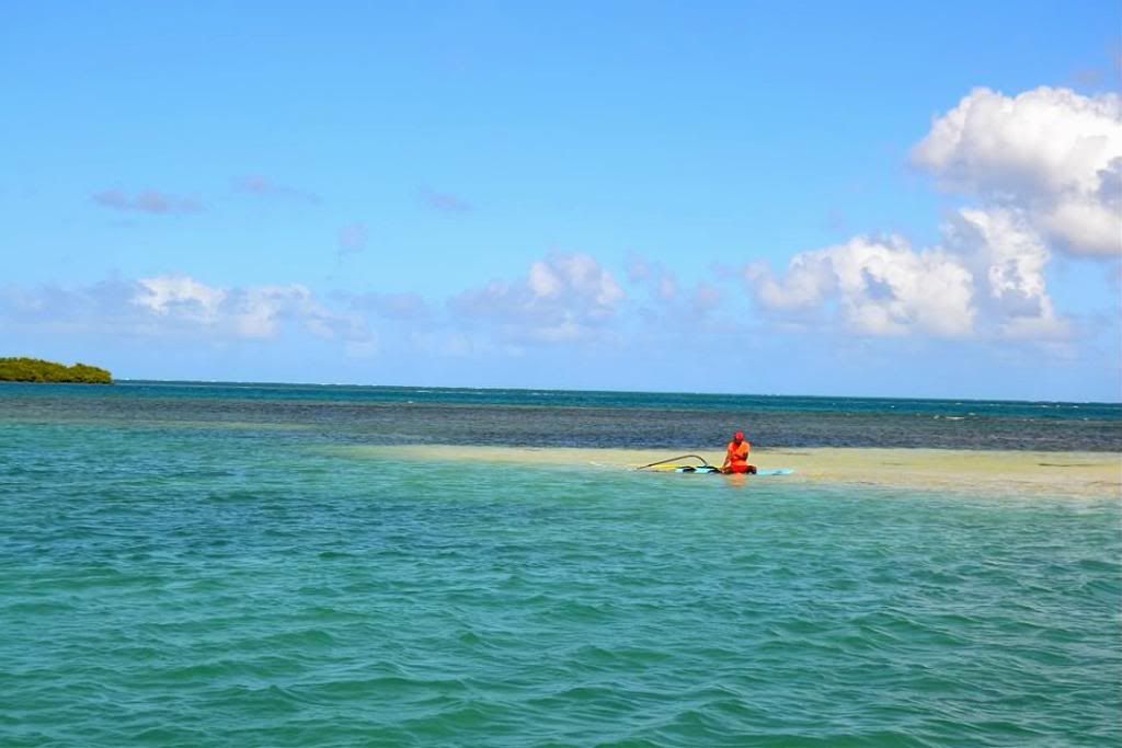 DSC_0666.jpg