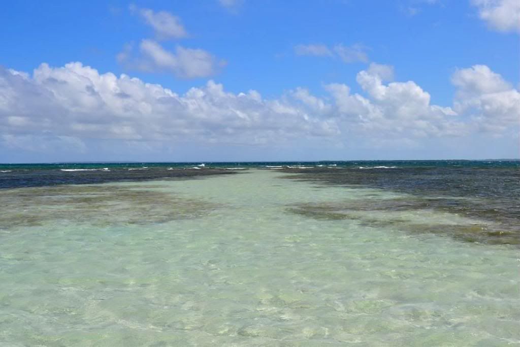 DSC_0669.jpg