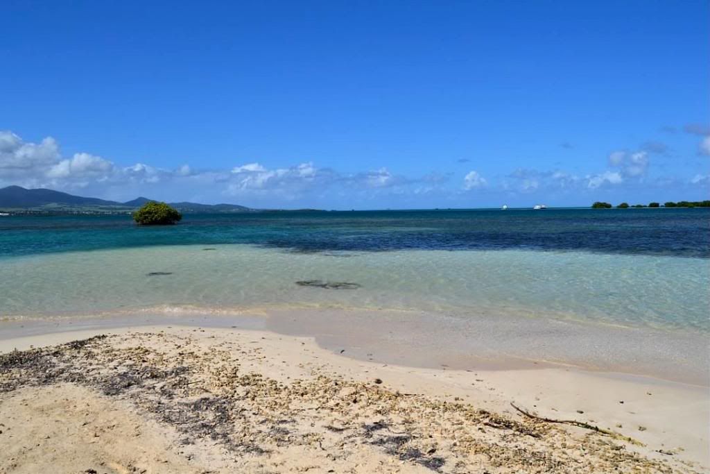 DSC_0670.jpg