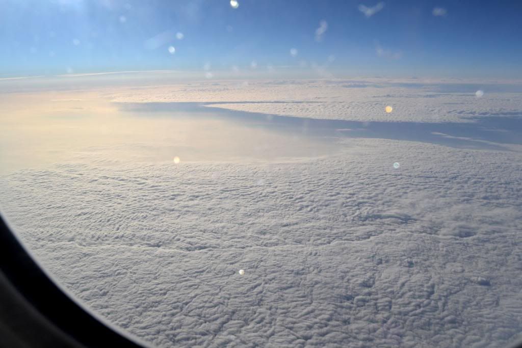 DSC_0711.jpg