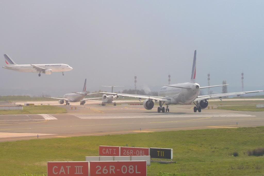 DSC_0738.jpg