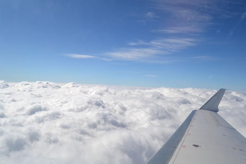 DSC_0745.jpg