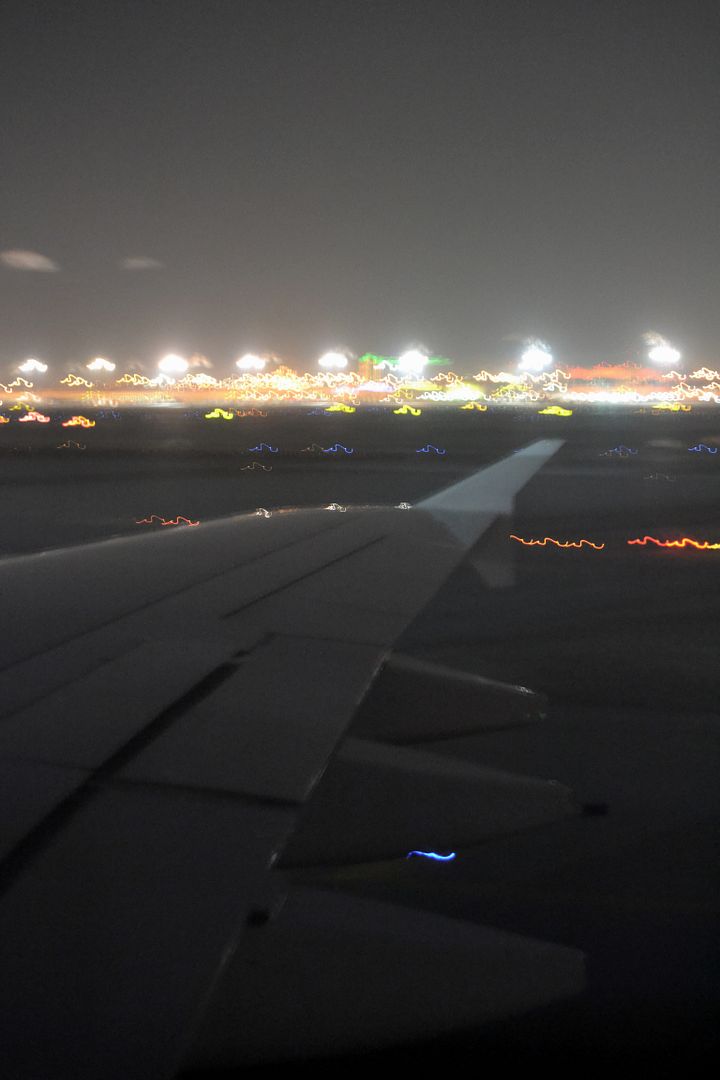 DSC_0113.jpg