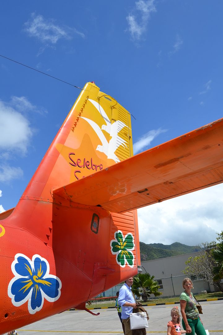 DSC_0185.jpg