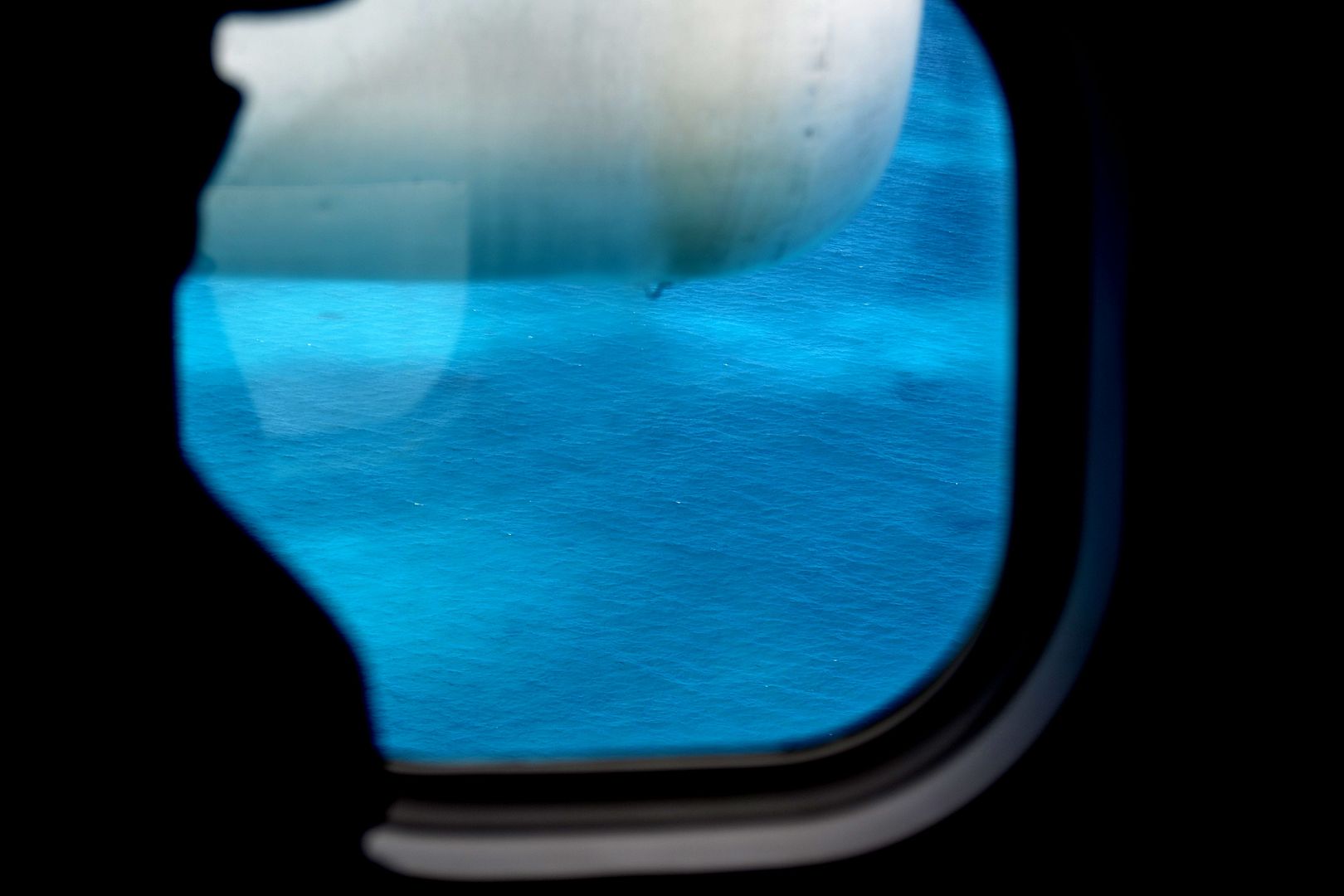 DSC_0203.jpg