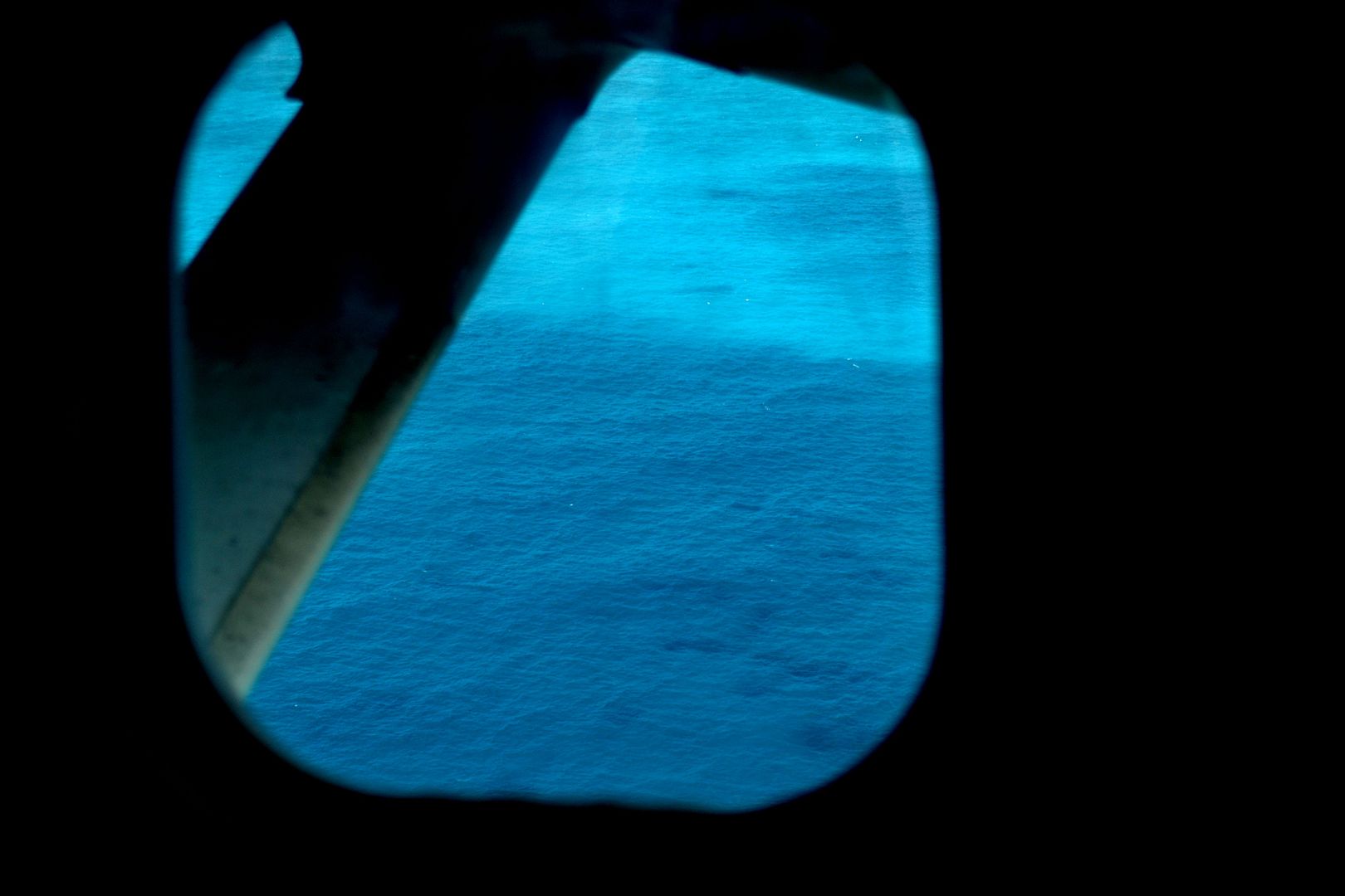 DSC_0204.jpg
