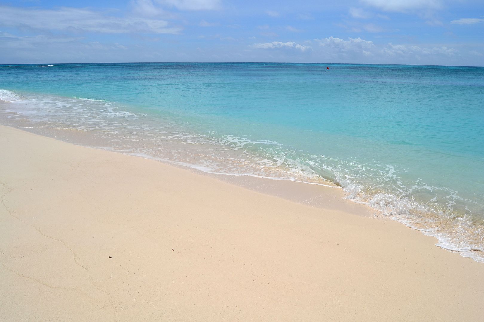 DSC_0237.jpg