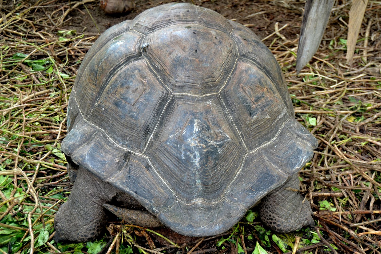 DSC_0256.jpg